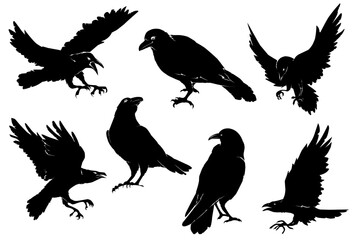 Naklejka premium crows