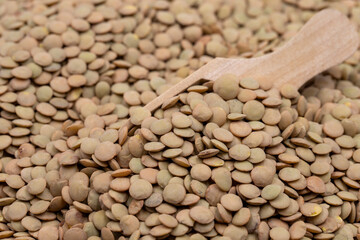Green lentils on wooden spoon. Legumes as background. close-up raw green lentils
