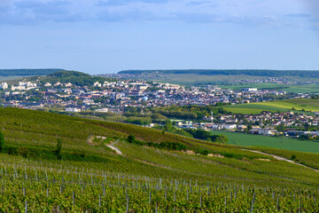 Panoramic view on green premier cru champagne vineyards and Epernay, Champange, France