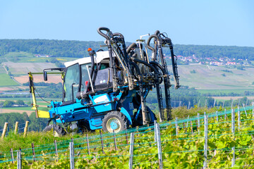 Tractor sprinkles young shoots of grapes on premier cru champagne vineyards in village Hautvillers near Epernay, Champange, France