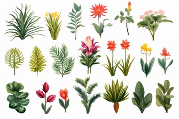 Naklejka premium Botanical Clip Art tropical plants in the desert. Isolated on white. 