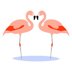 Obraz premium Couple Chilean flamingo characters. Phoenicopterus chilensis isolated on white background. Bird in love who stood up in the shape of a heart. Valentine's Day. Vector illustration.