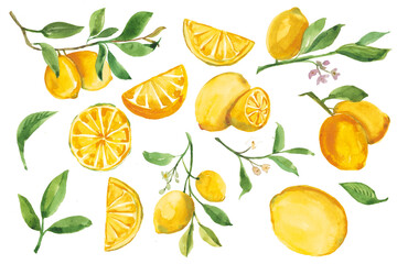 Lemon fruit watercolor