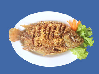 fried fish with vegetable in white dish on blue background