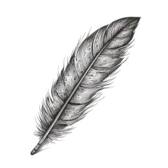 feather line art