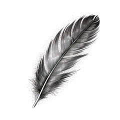 feather line art