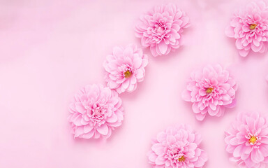 Beautiful pink pastel flowers background with copy space