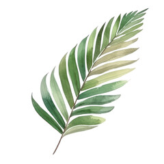 Palm leaf watercolor