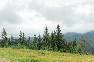 Green Ukrainian mountains. Summer time. Beautiful views of the largest peaks.