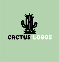 cactus plant logo design idea vector, cactus plant logo icon