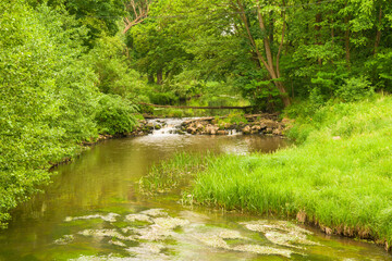 Gęsty, liściasty, zielony las. Pomiędzy drzewami płynie rzeka tocząc brązową wodę. Brzegi porośnięte są trawą. Rzeka jest nieuregulowana. - 623723073