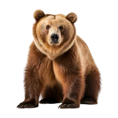 Rolgordijnen brown bear cub isolated on transparent background cutout © Papugrat