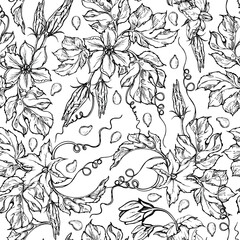 Fototapeta premium Hand drawn ink vector pumpkin gourd squash leaves and flowers. Sketch illustration art for Thanksgiving, harvest, farming. Seamless pattern. Design for restaurant menu print, cafe, website, invitation