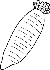 hand drawn daikon