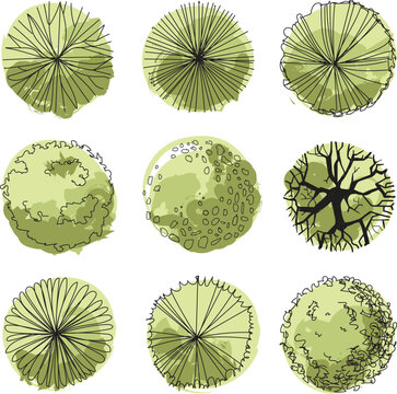 Trees top view plan