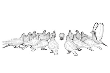 Pigeon bird contour sitting. Flat cartoon character design. Outline bird icon. Cute pigeon template. Vector illustration isolated on white background.