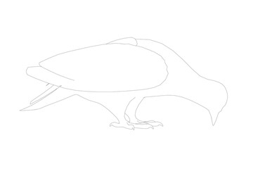 Pigeon vector contour character flat illustration. Dove pigeon seen in Side view - Flat style vector