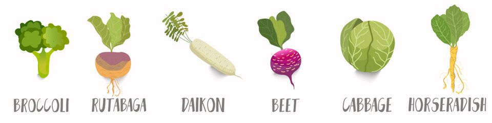 Fototapeta premium Vector vegetables icons set in cartoon style. Collection farm product for restaurant menu, market label.