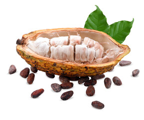 Cocoa beans with cocoa pod isolated on white background on transparent