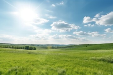 Serene Spring Landscape with Green Field and Blue Sky