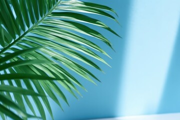 Minimal Abstract Background with Blurred Palm Leaf Shadows on Light Blue Wall