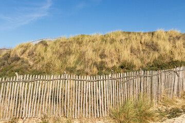 Fototapeta premium Aménagement des dunes contre l'érosion