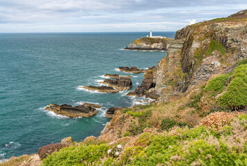 Obraz premium Views around South Stack Lighthouse with the heather out