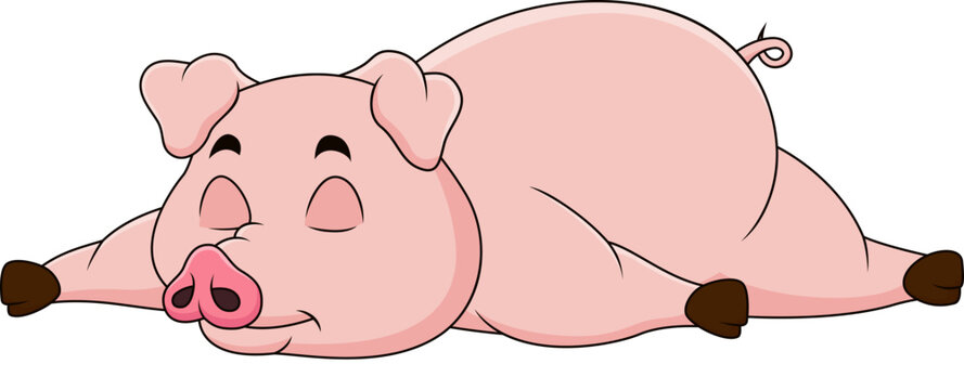 Cute pig mascot cartoon sleeping. Cute animal mascot illustration