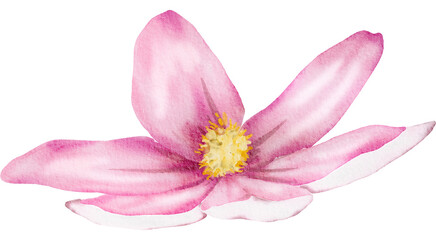 Obraz na płótnie Canvas Pink Watercolor Flower illustration