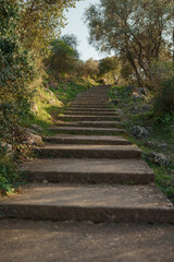 Mont Boron trail path for walking or hiking
