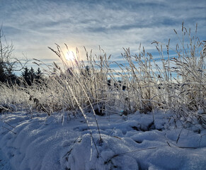 beautiful impressions of a snowy landscape 