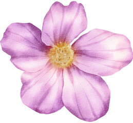 Purple Watercolor Flower Illustration