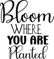 Bloom Where You Are Planted