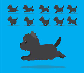 Animal Animation Sequence Dog Cairn Terrier Cartoon Vector