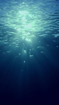 Vertical video, Underwater sunbeams, slow motion. Underwater sun rays in the Ocean. The sun's rays penetrate underwater into the blue water through the sea waves.