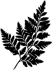 fern leaf silhouette vector eps 10