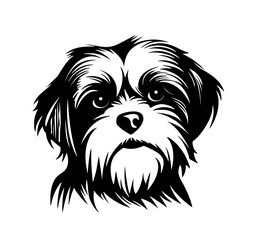 Vector isolated one single sitting Shih Tzu dog head front view black and white bw two colors silhouette. Template for laser engraving or stencil, print for t shirt