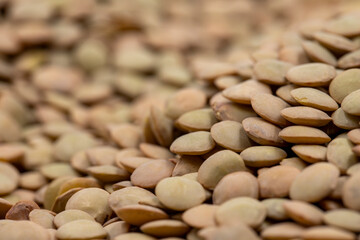Pile of green lentils as background, legume as background. close-up of raw green lentils