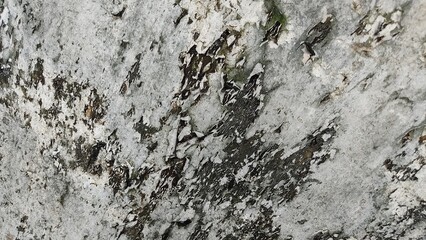 stone wall texture