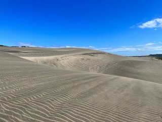 sand dunes in the desert