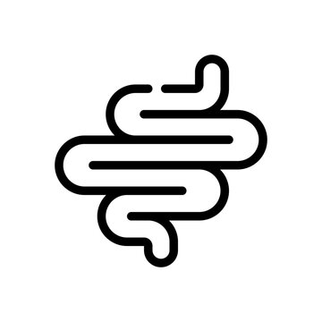 small intestine line icon