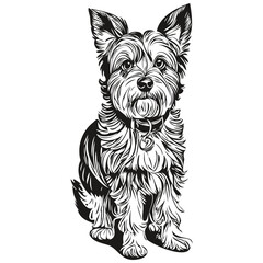Dandie Dinmont Terriers dog pet silhouette, animal line illustration hand drawn black and white vector