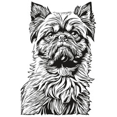 Brussels Griffon dog cartoon face ink portrait, black and white sketch drawing, tshirt print