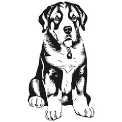 Greater Swiss Mountain dog breed line drawing, clip art animal hand drawing vector black and white