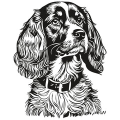 Spaniel Boykin dog hand drawn logo drawing black and white line art pets illustration realistic pet silhouette