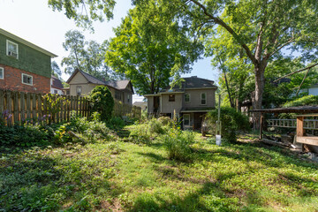 Fototapeta premium back yard wooded area