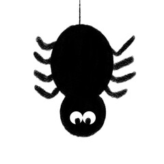 spider on a white background