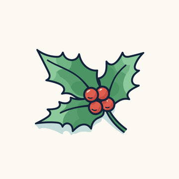 Vector of a holly berry with green leaves on a white background
