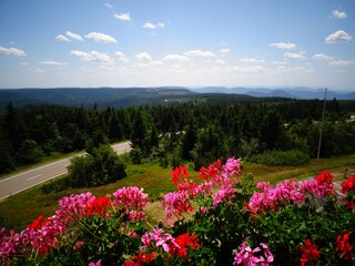 Europe , Germany , the Schliffkopf mountain peak in the Black Forest