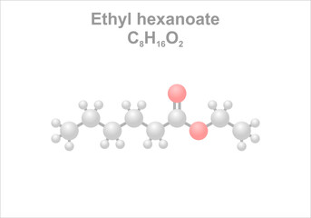 Simplified scheme of the ethyl hexanoate molecule.